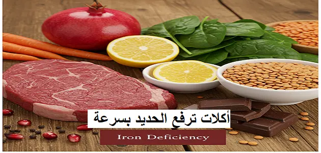 أكلات ترفع الحديد بسرعة